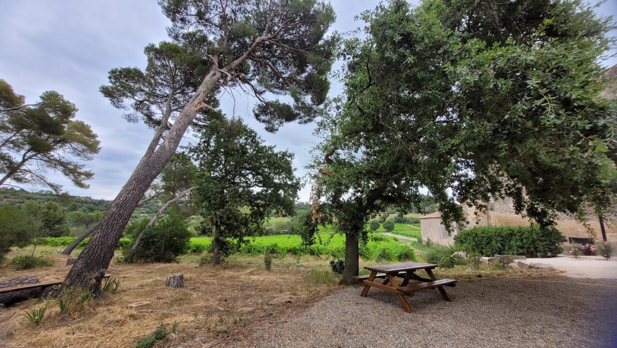 La Pinede, Logement Privatif Au Chateau Aumes エクステリア 写真