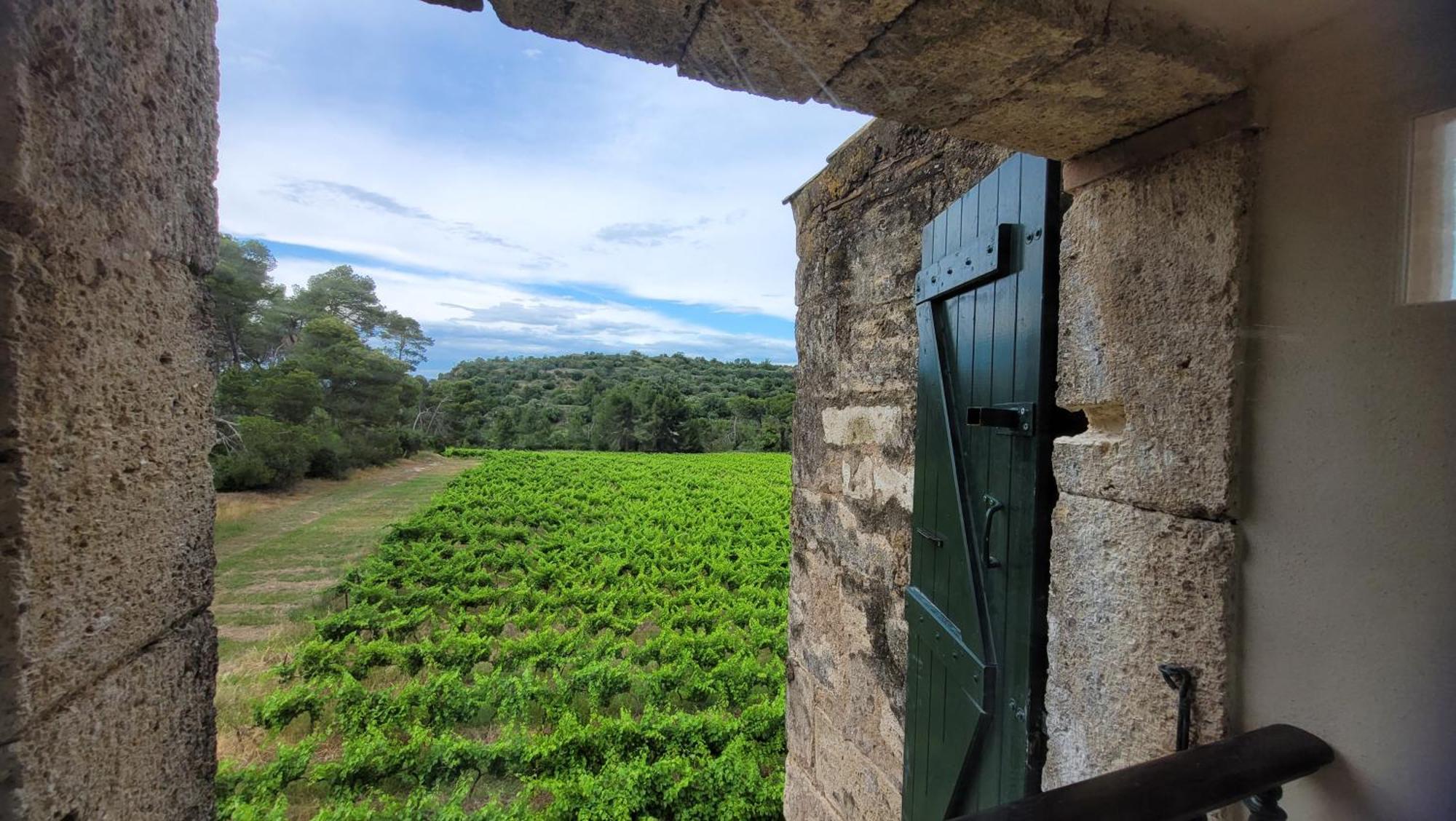 La Pinede, Logement Privatif Au Chateau Aumes エクステリア 写真