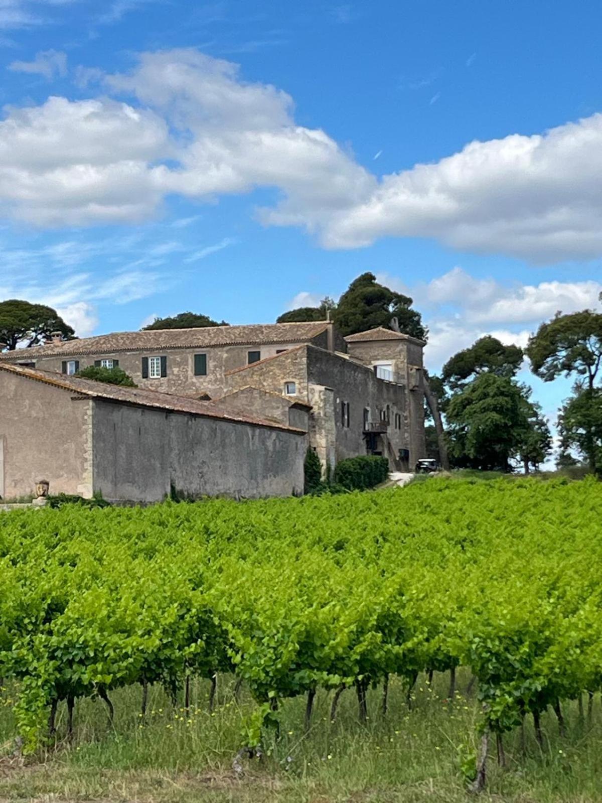 La Pinede, Logement Privatif Au Chateau Aumes エクステリア 写真
