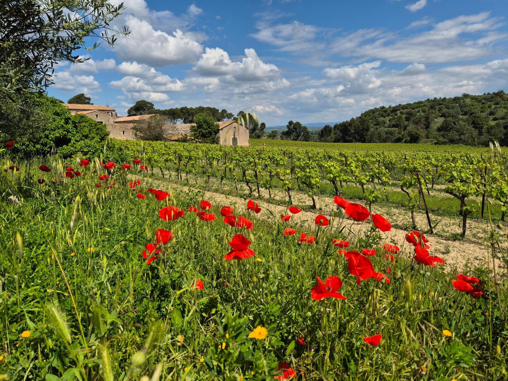 La Pinede, Logement Privatif Au Chateau Aumes エクステリア 写真